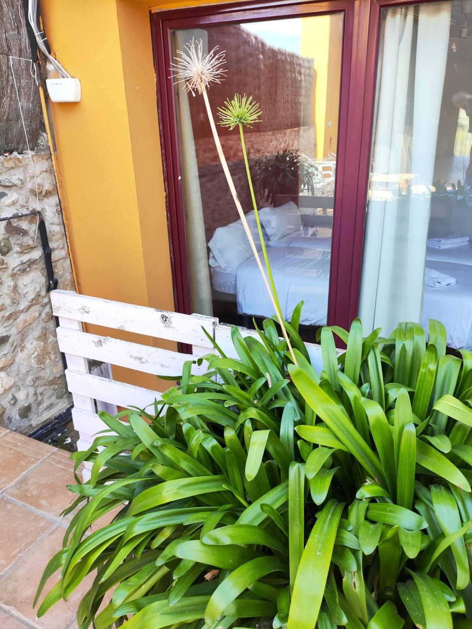 L'Olivera Casa Rural Castellbisbal Eksteriør bilde